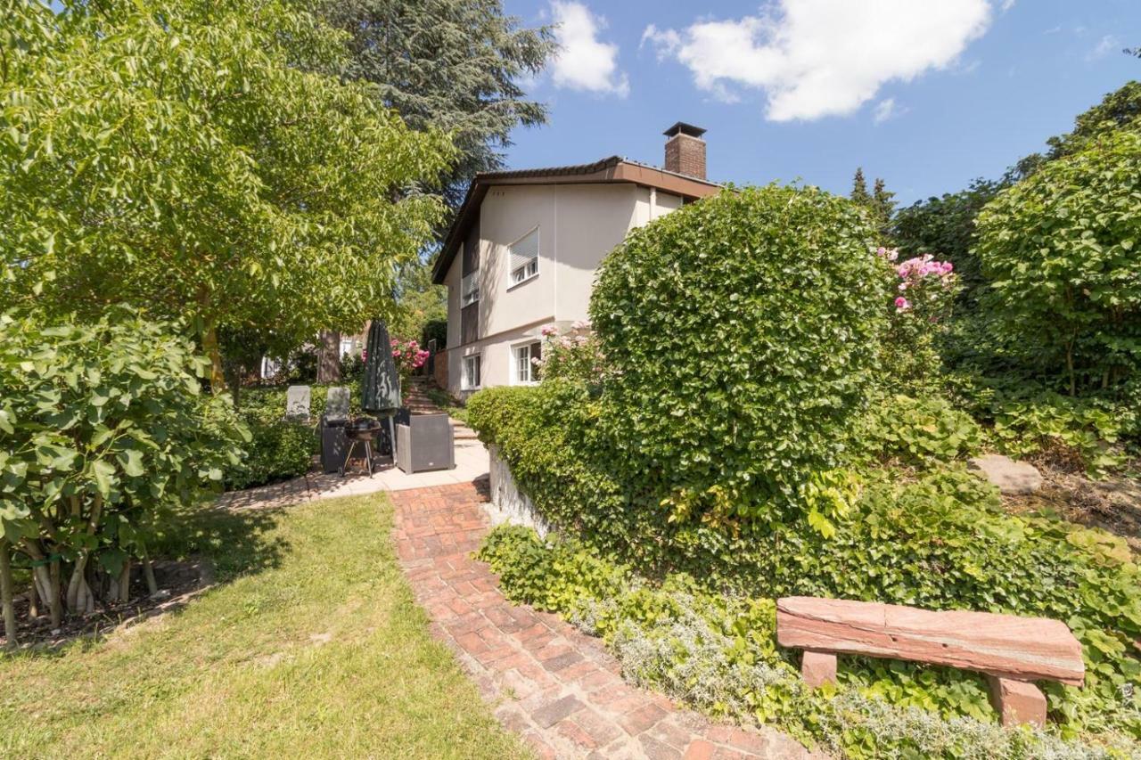 Villa-Doerr 100 M² + 1500M² Garten Wörrstadt 外观 照片