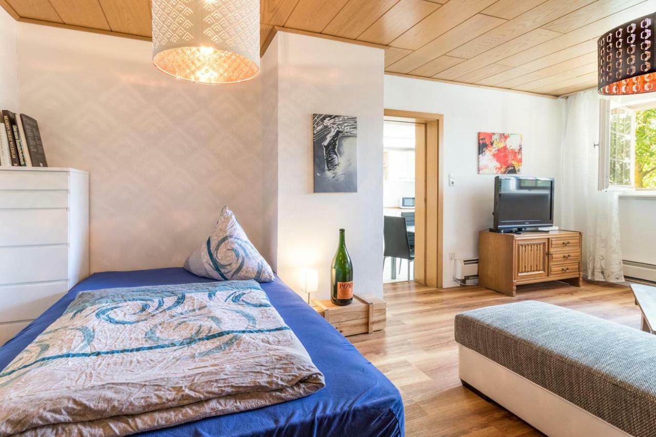 Villa-Doerr 100 M² + 1500M² Garten Wörrstadt 外观 照片